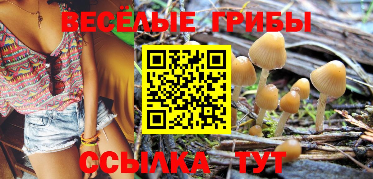 Псилоцибиновые грибы ЛСД Обь