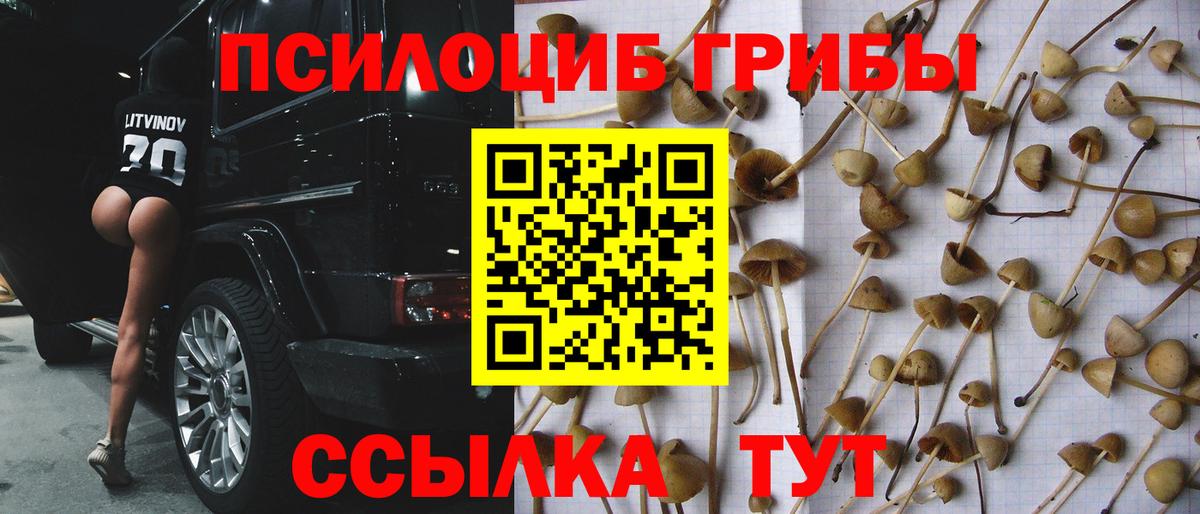 Галлюциногенные грибы Psilocybe  Вход с VPN  Обь 